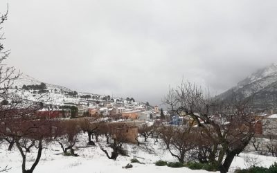 Snow in Fageca
